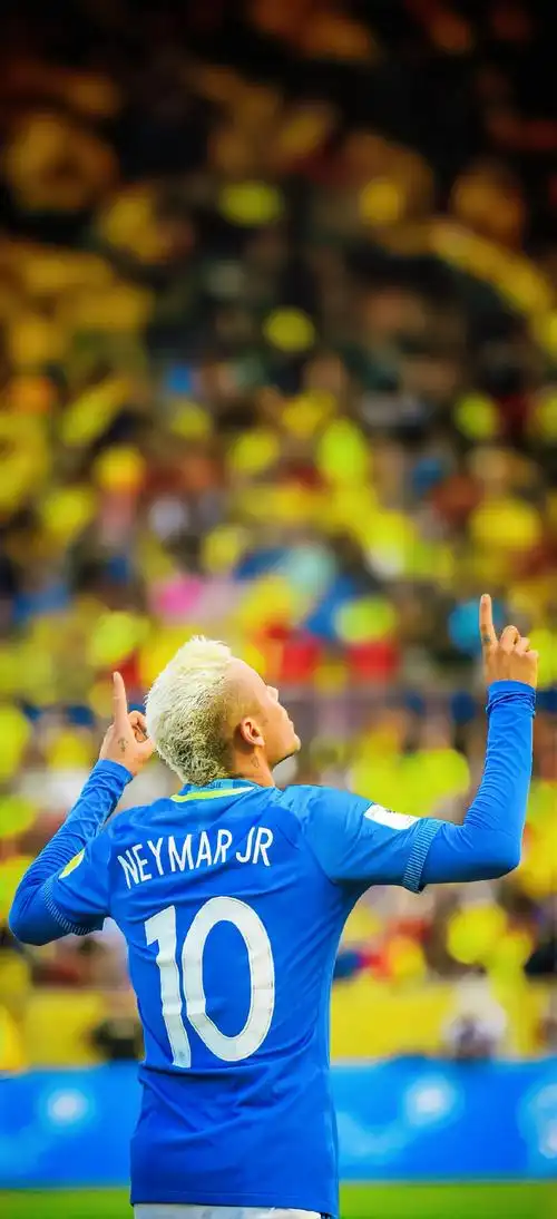 全能表現 全能表現