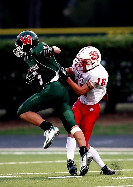 伊普斯的战 伊普斯的战