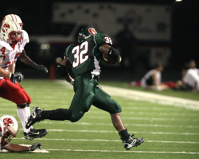 伊普斯的战 伊普斯的战